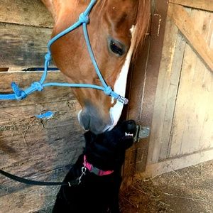 Meet your Posher, Amy